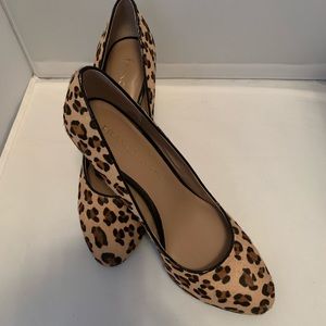 Franco Sarto leopard heels 👠 🐆